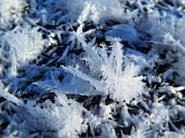 Ледяная Снежинка