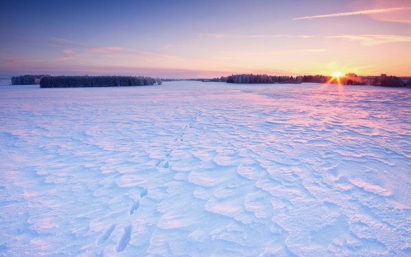 Снег поле