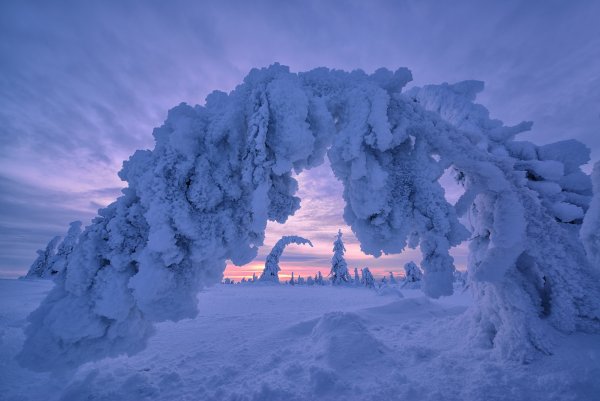 Причудливые сугробы