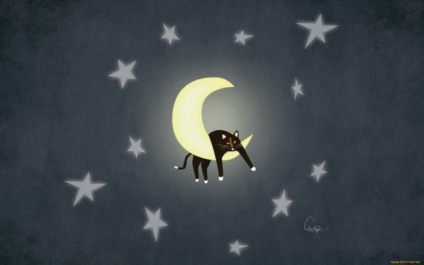 Кот и Луна