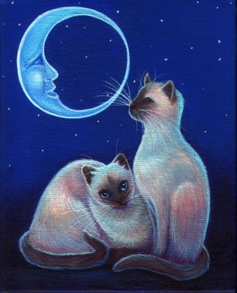 Лунный кот живопись