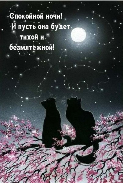 "Лунный кот"