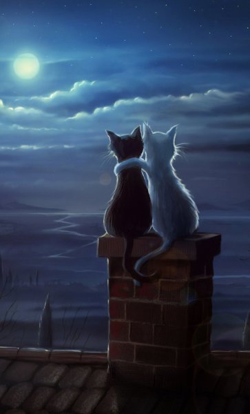 Кот на крыше Луна