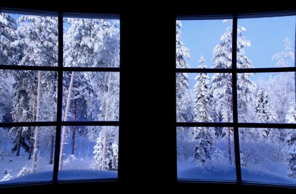 Вид из окна снег