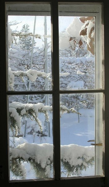 Зимний вид из окна