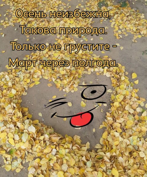 Осенние афоризмы Веселые