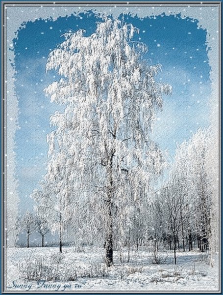 Береза зима Есенин
