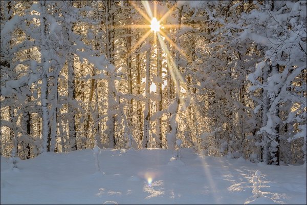 Солнечные лучи зима