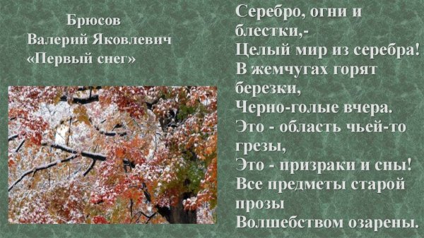 Валерий Яковлевич Брюсов первый снег