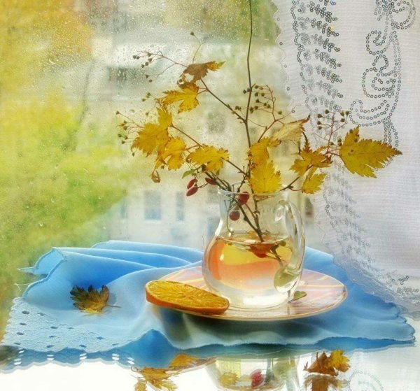 Дождливое утро осени