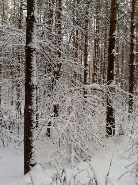 Валерий Брюсов 1 снег