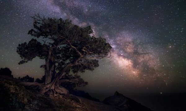 Млечный путь в Крыму