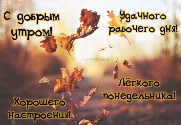 С добрым осенним утром понедельника