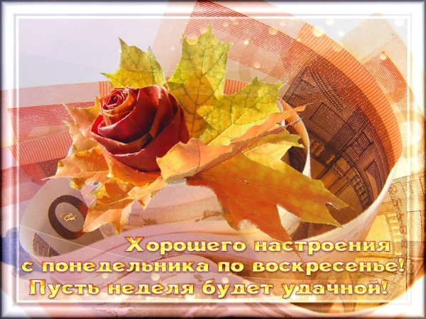 С добрым осенним утром поне