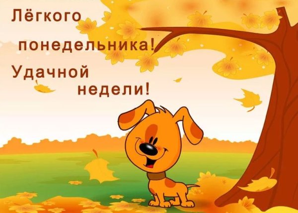 С добрым осенним утром понедельника