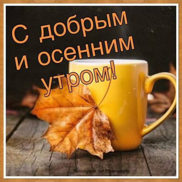 Доброго осеннего утра и хорошего дня