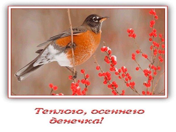 Осенние птицы с пожеланиями доброго утра