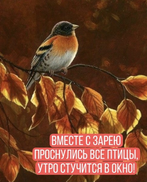 Птицы осенью живопись