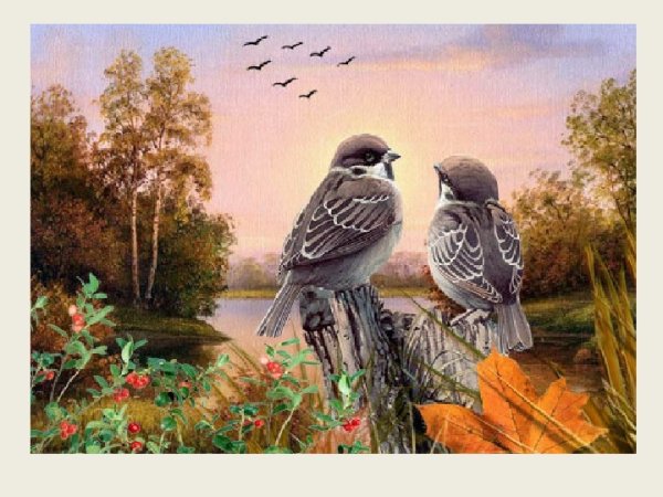 Осеннее утро с птицами