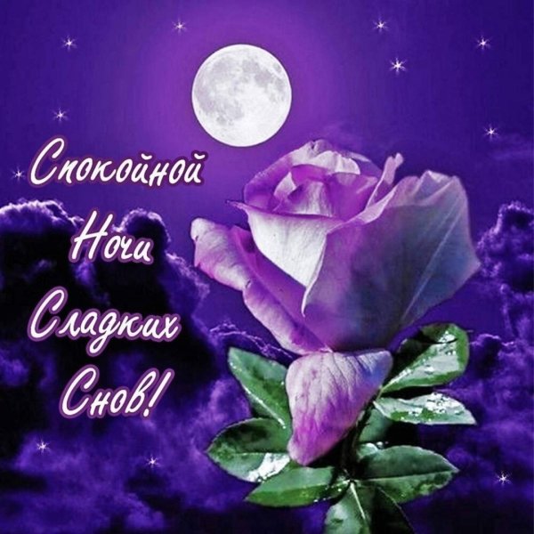 Спокойной ночи цветы