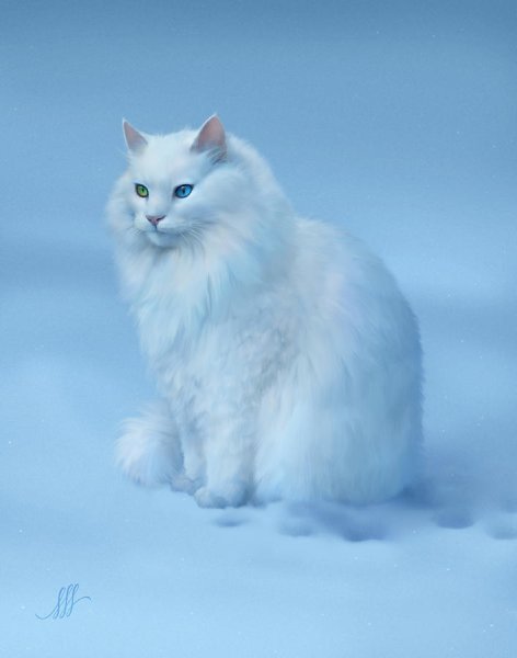 Белый кот на снегу