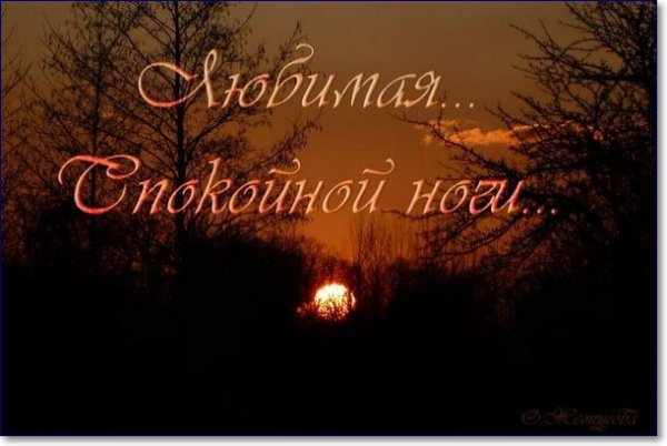 Спокойной осенней ночи девушке