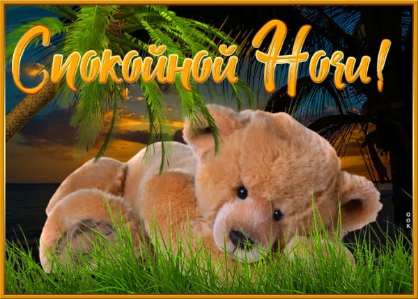 Открытки спокойной ночи с животными