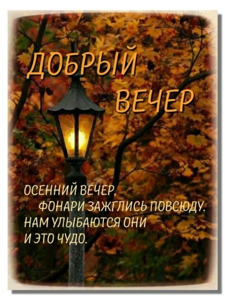 Добрый вечер цитаты