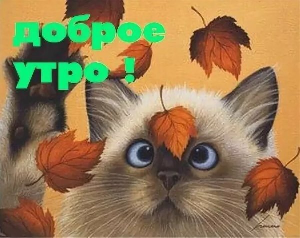 Доброе осеннее утро прикольные
