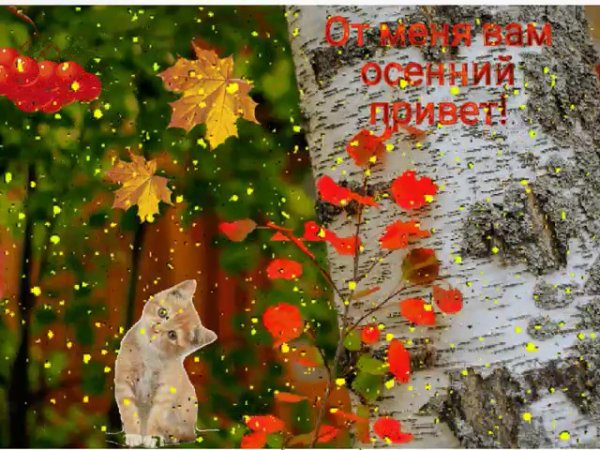 Добрый последний вечер осени