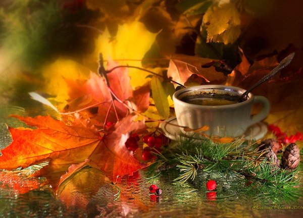 С последним днем осени