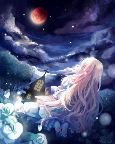 Лунная девушка аниме