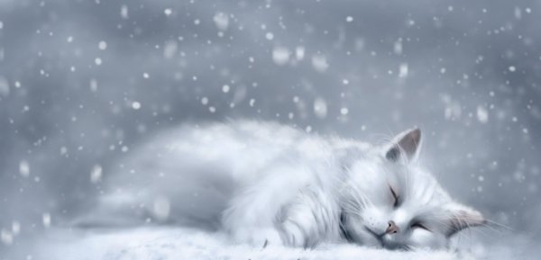 Спокойной снежной ночи