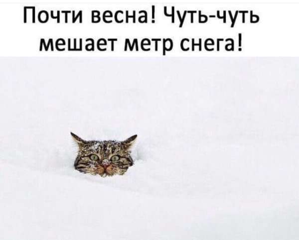 Уже Весна мешает метр снега