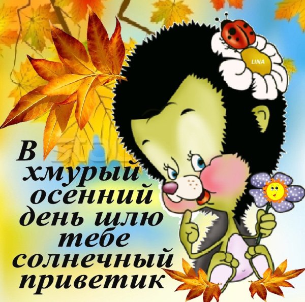 Осенний приветик от меня