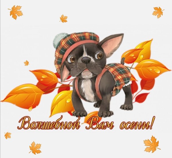 Осень и собака открытка