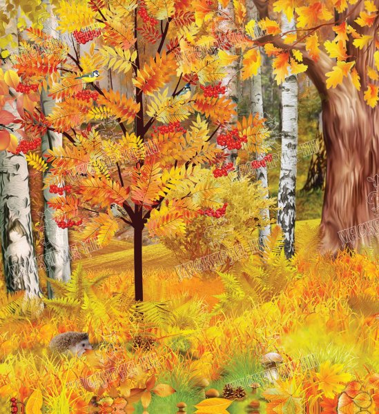 Осенний лес для детей в детском саду