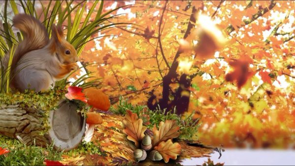 Сказочный лес осенью