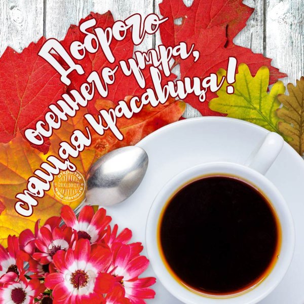 Доброе осеннее утро