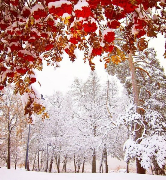 С началом зимы