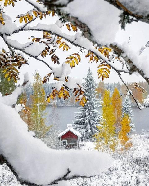 Картинки борьба со снегом прикольные - 75 фото