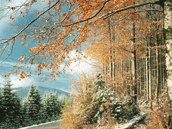 Поздняя осень анимация