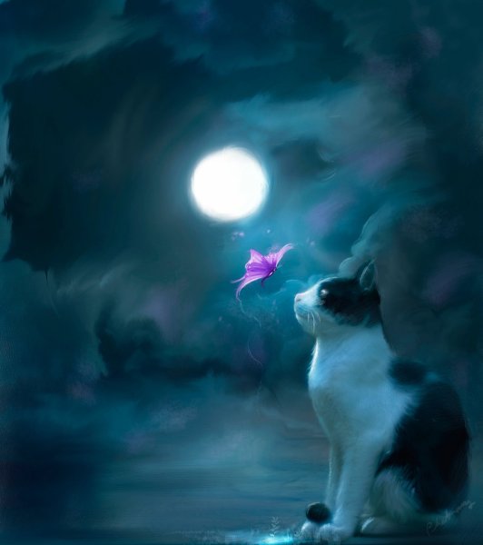 Кошка под луной