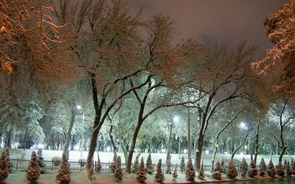 Ташкент сквер zima