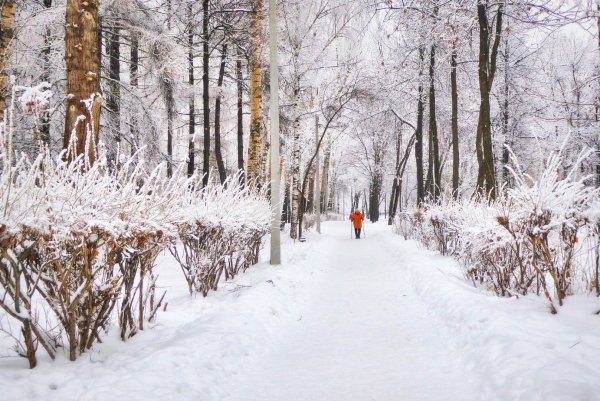 Парк Измайлово зимой