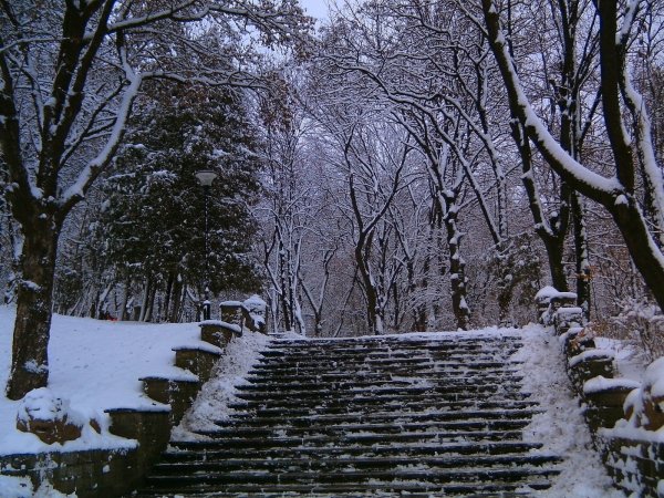 Первый снег в городе