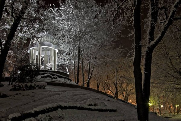 Сквер Горького Краснодар ночью