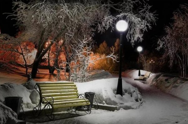 Зимний парк с фонарями