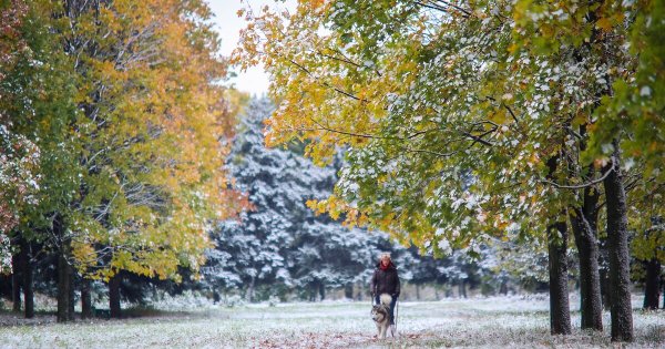 Осень первый снег парк