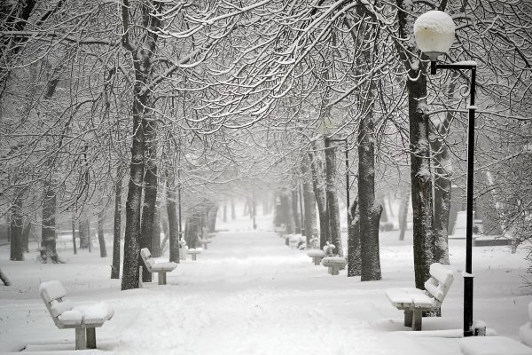 Зимняя аллея в городе